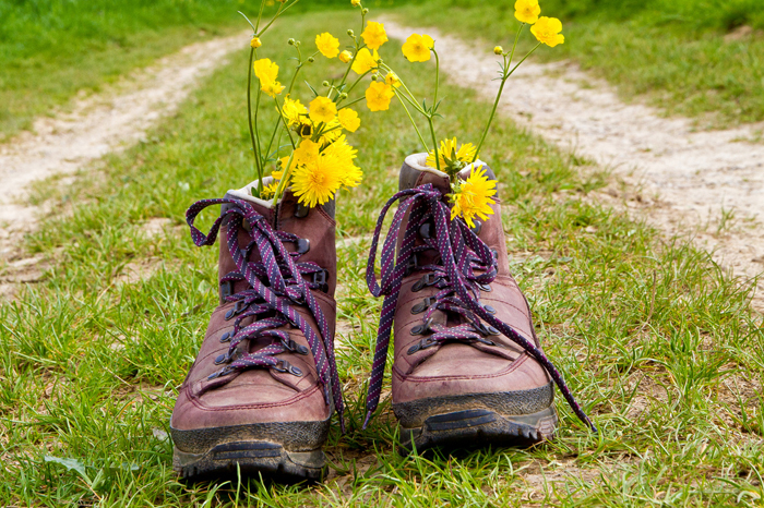 Wandeltocht door de Betuwe