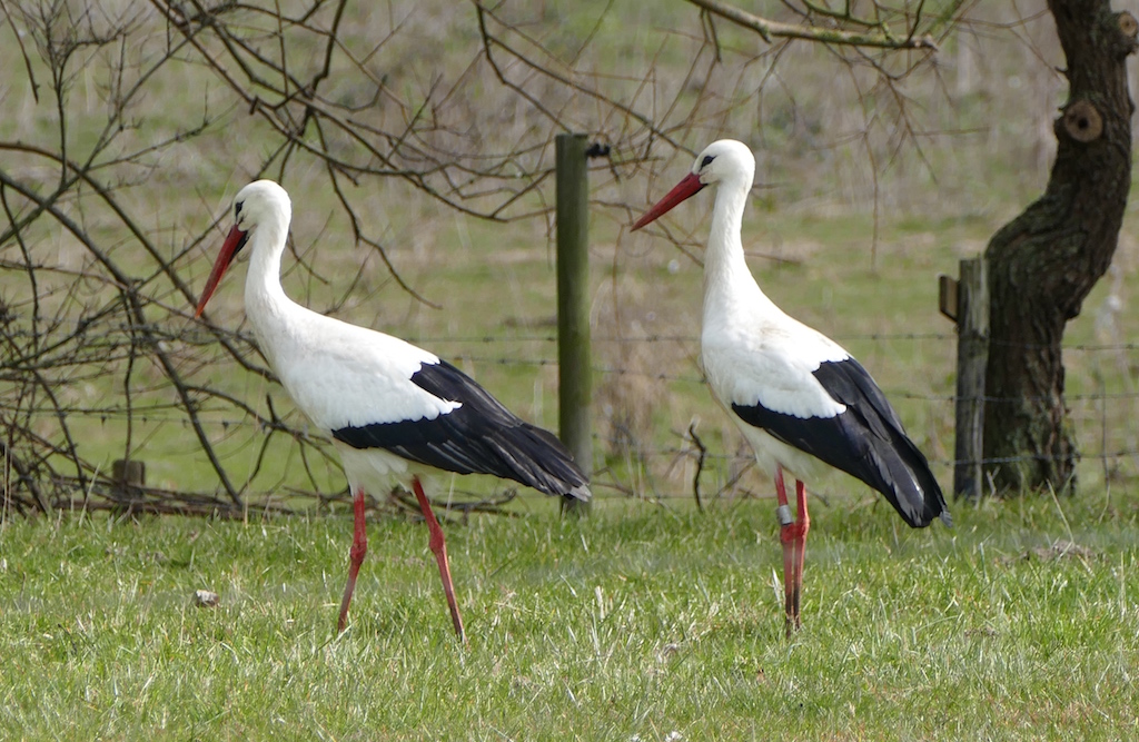 Lente is begonnen!