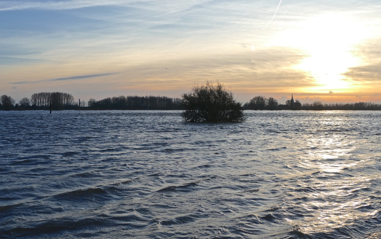 HoogWater Waal 2018