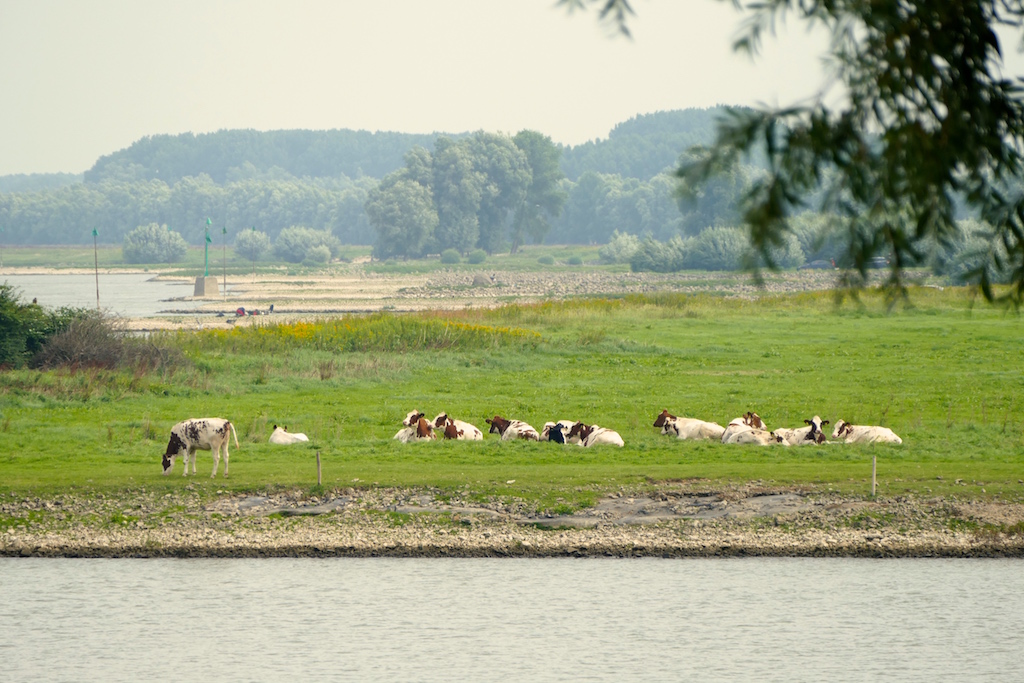 Lezing over Langsdammen