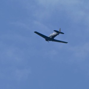5 meiP1130764