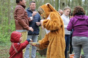 IMG 7637