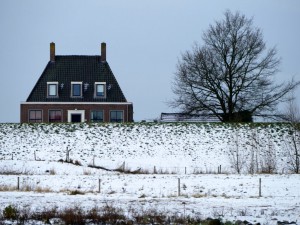 P1020817