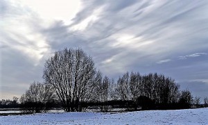 P1020826 2 (2)